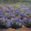 Lavender Fields pastel painting