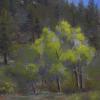 Meadow Lightner Creek, 
Pastel painting