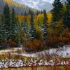 Autumn Rhapsody, 
The San Juans
photograph